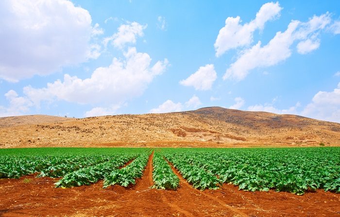 Climate Change Adaptation & Mitigation
